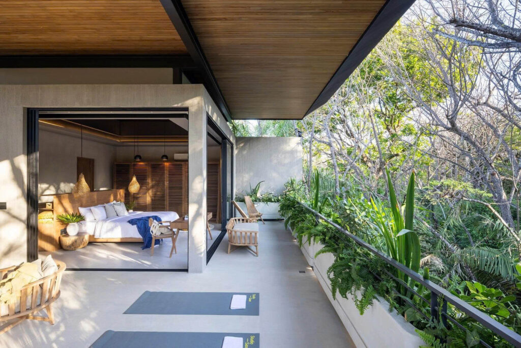 Phong cách Tropical Modern